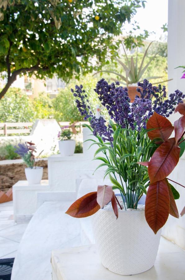 Garden House Palaio Faliro Αθήνα Εξωτερικό φωτογραφία