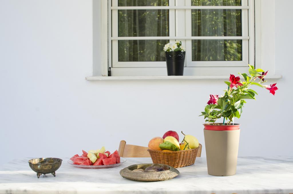 Garden House Palaio Faliro Αθήνα Εξωτερικό φωτογραφία
